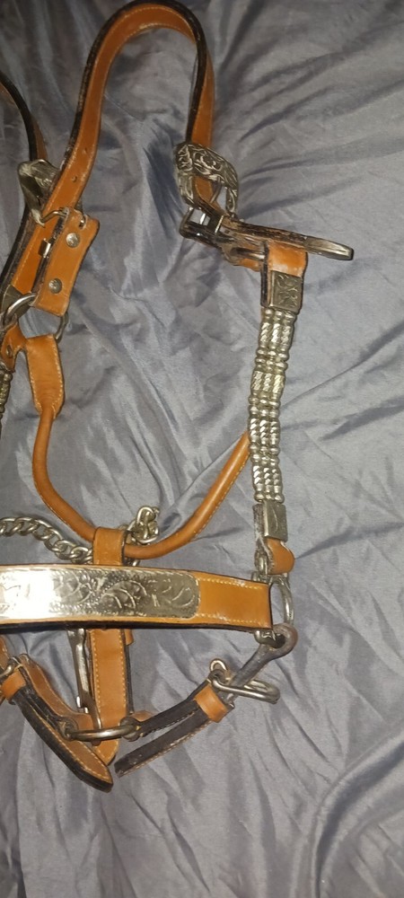 horse bridle