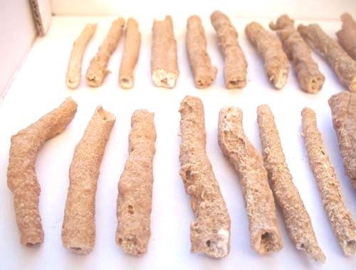 FULGURITE Morocco 3.3" Only $16 each! FOSSILIZED LIGHTNING!