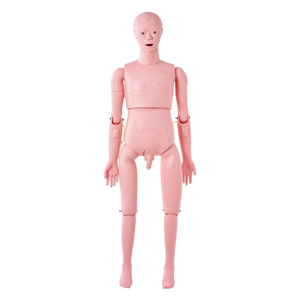 Male Nursing Training System with Realistic Tissue Response and Durability