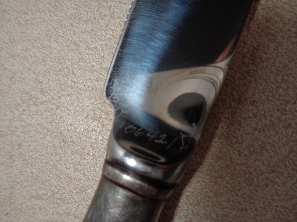 Silver Handle Raimond Sheffield England Cake Knife, Stainless Blade