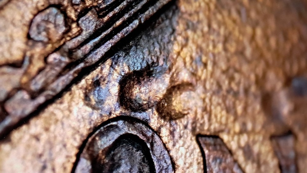 PAW PRINT MINT ERROR OR POST MINT DAMAGE?MACHINE DOUBLING, THIN COPPER LAYER#519