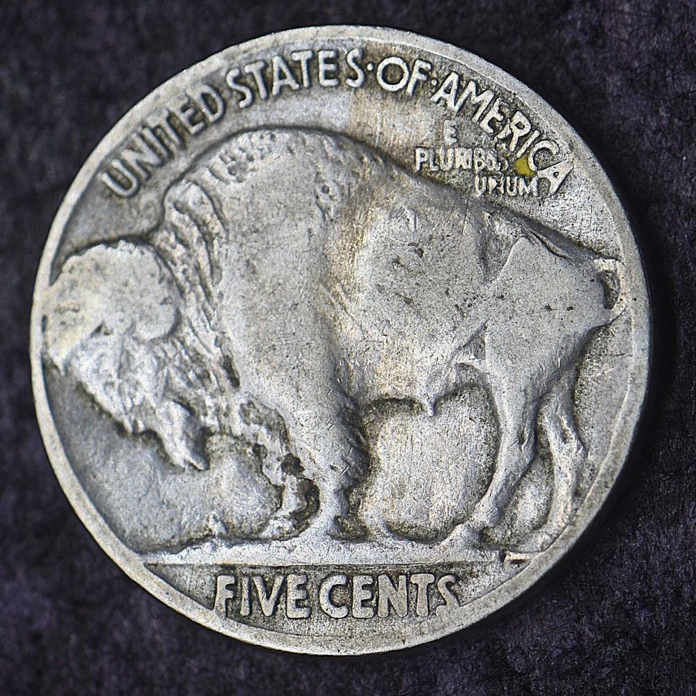 1924-P Buffalo Nickel 5C - COINGIANTS -