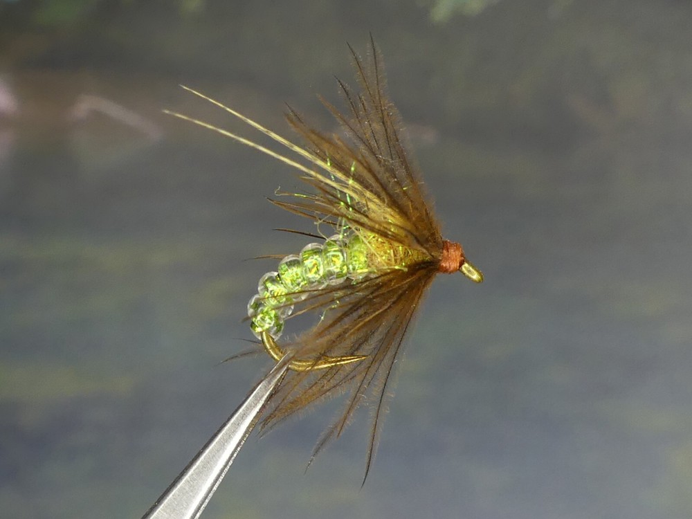 6 Flies - Green Rock Worm