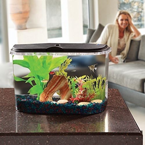 PanaView 5-Gallon Aquarium Starter Kit with LED Lighting