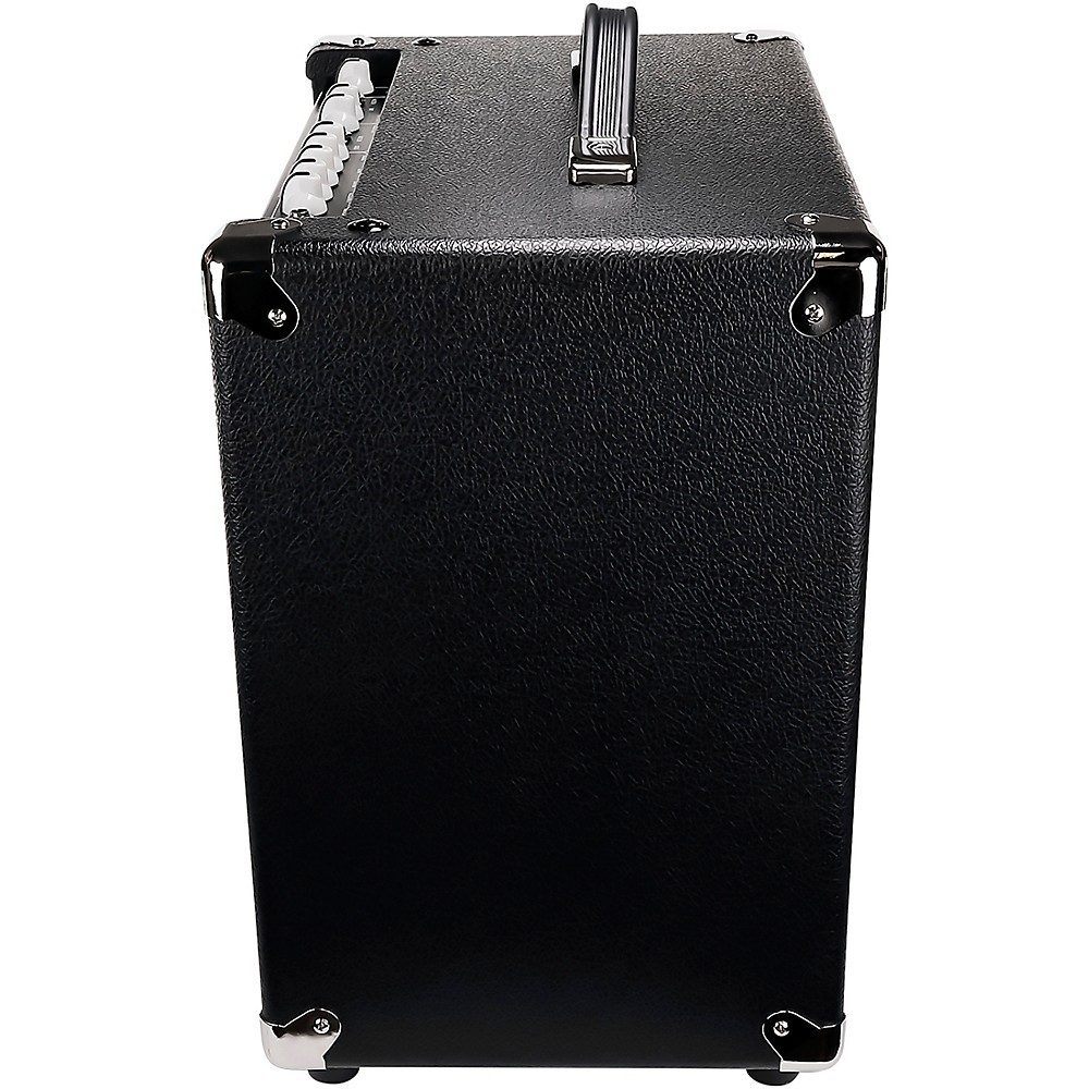 Quilter Labs Aviator Cub Advanced Single Channel Combo Amplifier