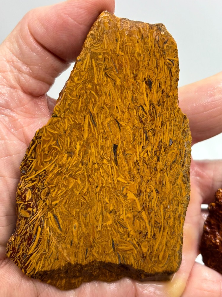 Script Stone Jasper Slabs Cabbing Lapidary Collecting Combo Ship Avail