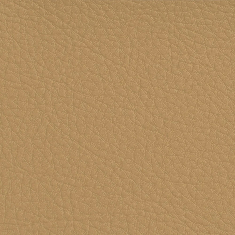 Hyundai Camel Leather Dye