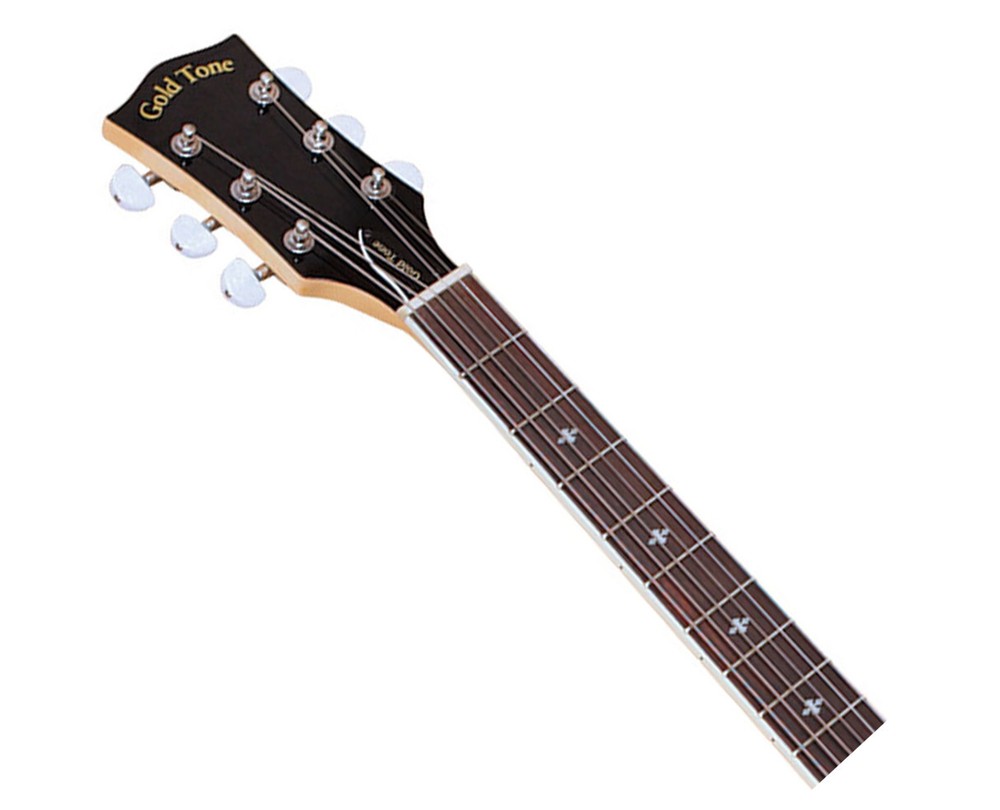 Gold Tone Professional 6-String Banjitar