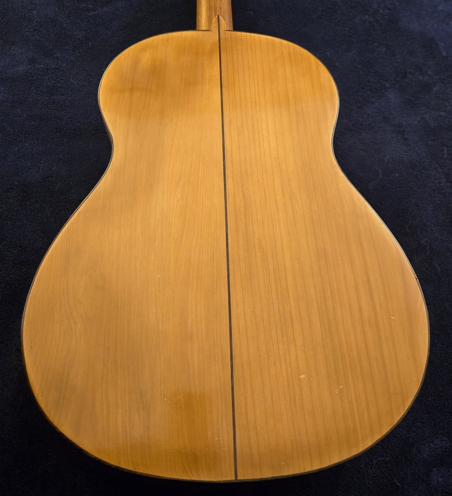 Santos Hernandez 1919