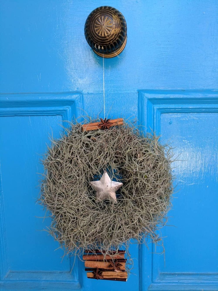 ML0560 Spanish Moss, 250 Cubic Inches