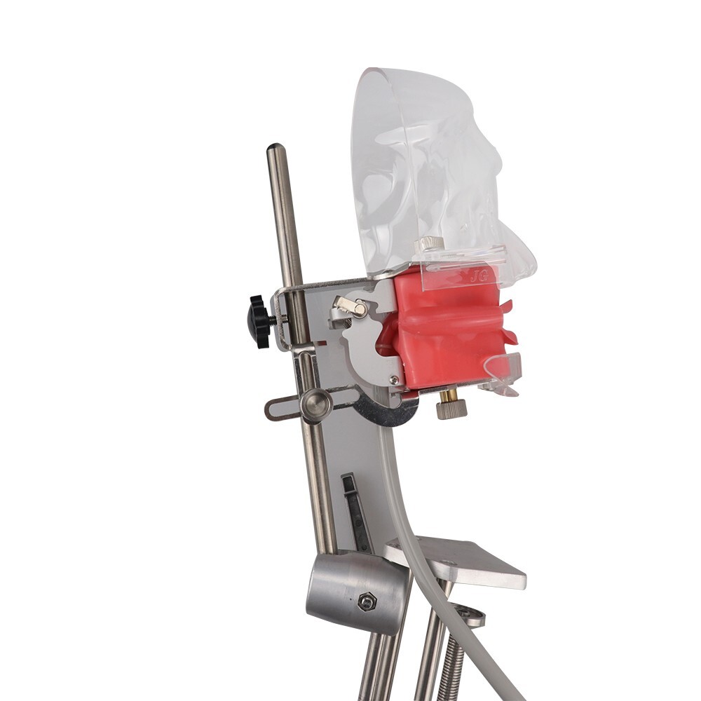 Dental Simulator Mannequin Head Teeth Model Teaching Practicing Head Mold desk