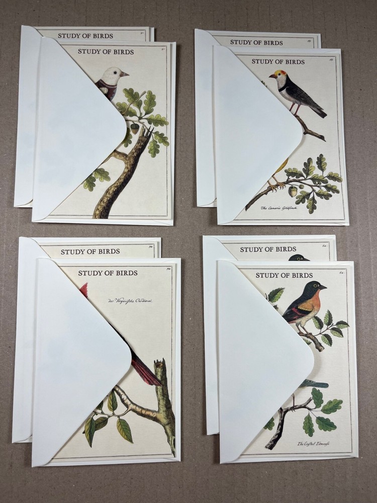 Cavallini & Co. Birds Stationery Set