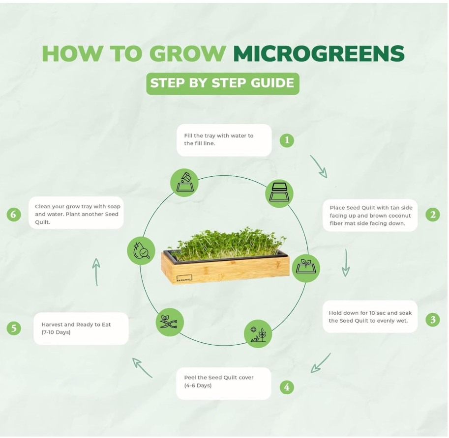 Microgreens Growing Kit