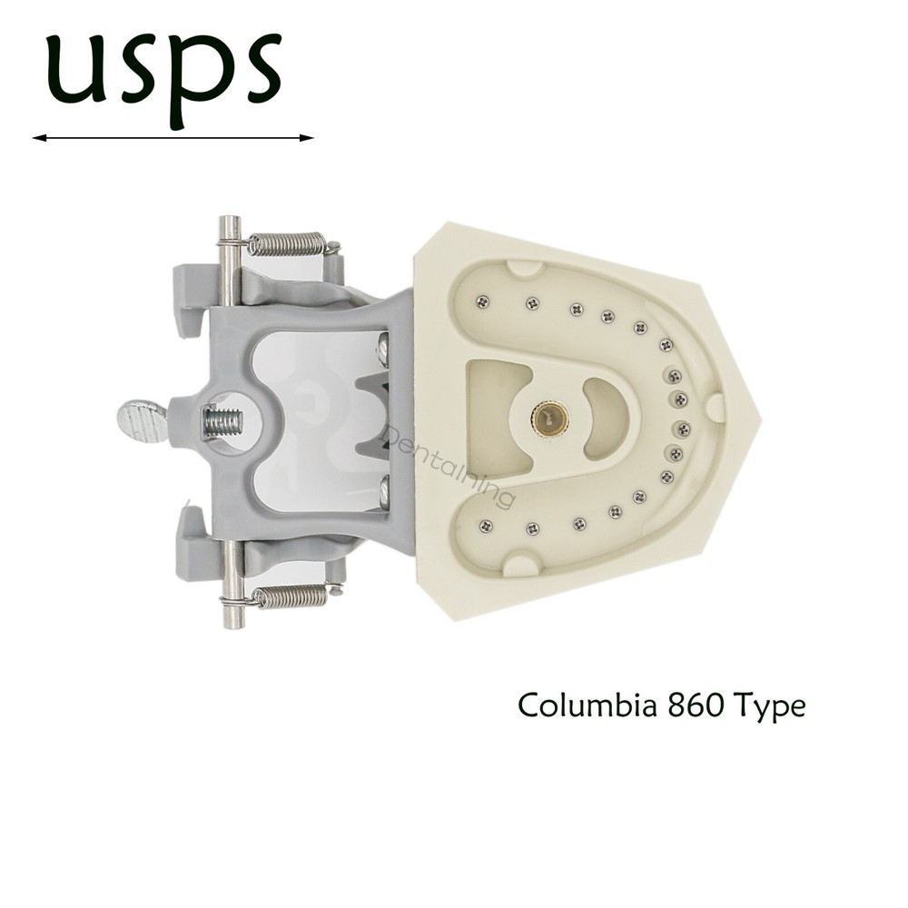 US Columbia Dentoform 860 Dental Study Model 32 Replace Teeth Mounting Pole