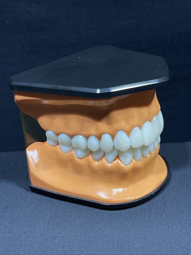 Columbia Dental Form Teeth Dentistry