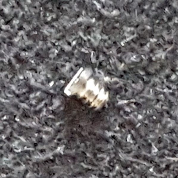 Omega Screw Part Number 2255