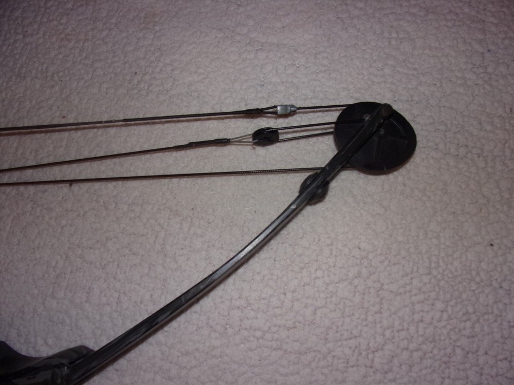 Bear Archery Cabela's Lightning Express Compound Bow