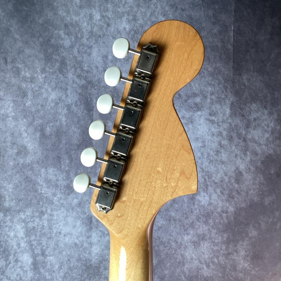 Psychederhythm Psychocaster Ash Violet