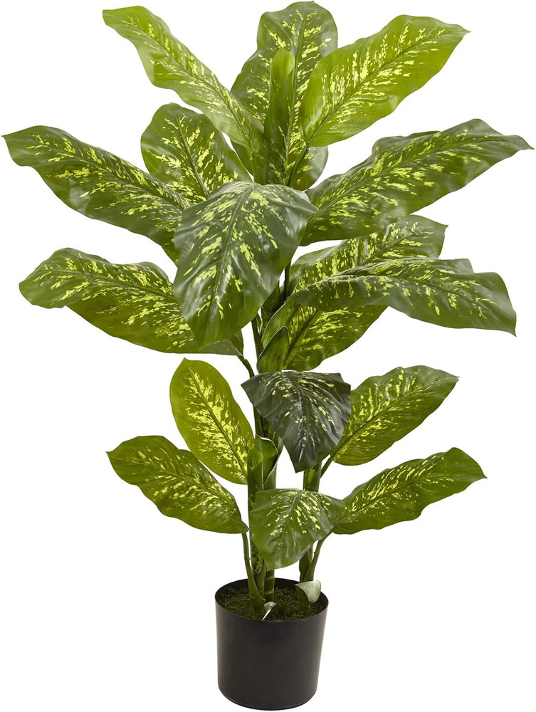 4Ft. Dieffenbachia Plant (Real Touch)