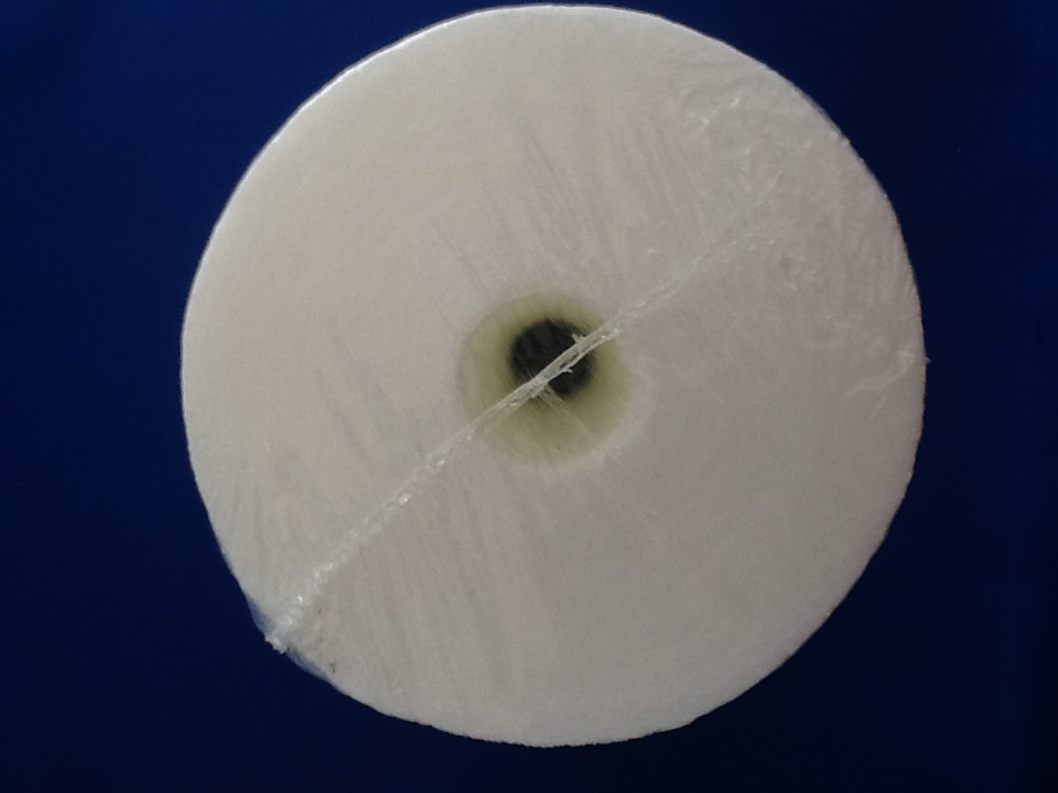 HYDRO CURE DELUXE DG 25/05 BIG BLUE 10"x4.5" SEDIMENT FILTER