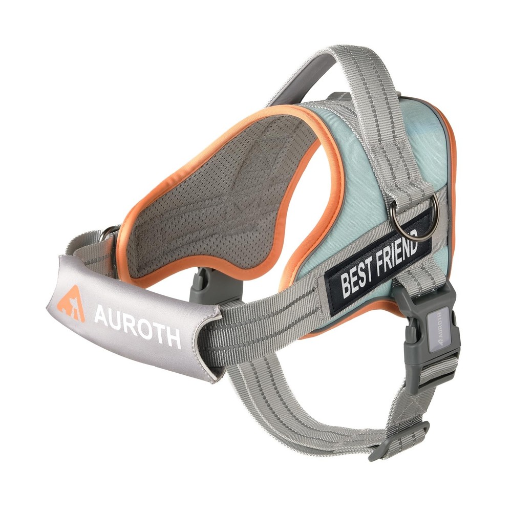 AUROTH Dog Harness No Pull Soft Padded Medium, Single Harness-Macaron Blue