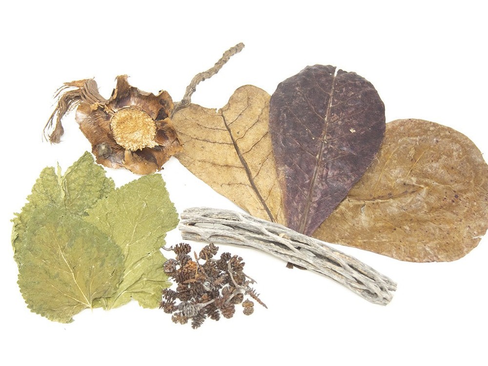 Aquatic Arts Botanical Combo Pack