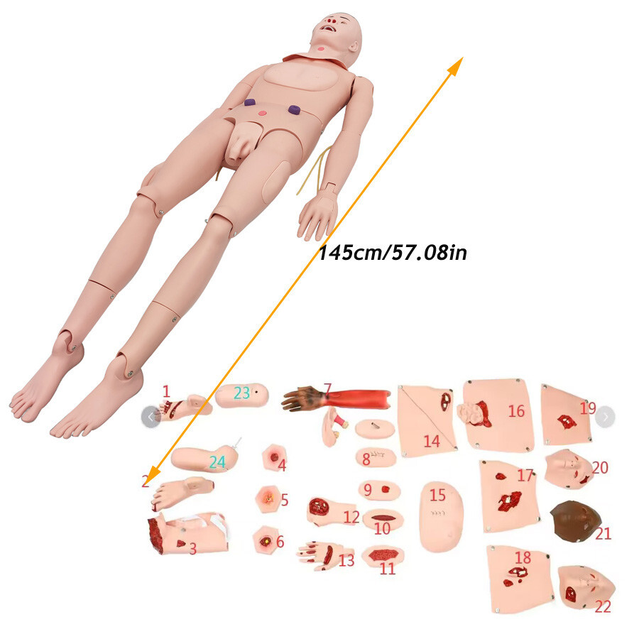 Patient Care Burn Teaching Model 24 Wound Modules Care NursingTraining Model