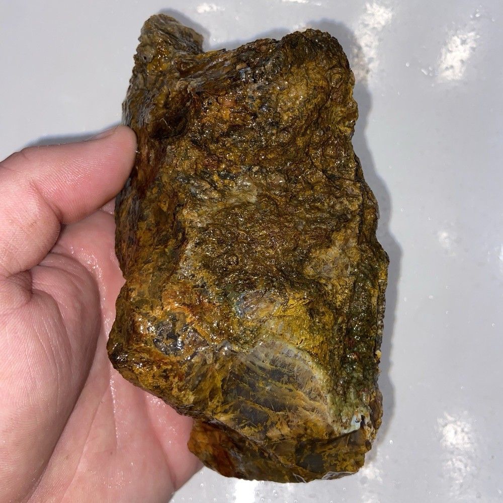 Gorgeous Icy Moss Agate Rough 1 Pound 12.25 Oz