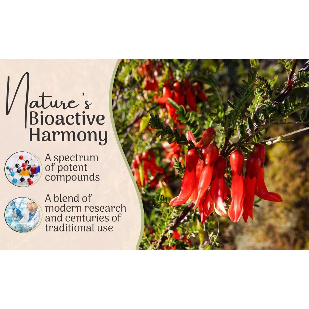 Sutherlandia frutescens Herbal Tea - Immune Support Metabolic Boost