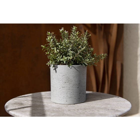 Round Rough Grey Planter 5.9" H Pot