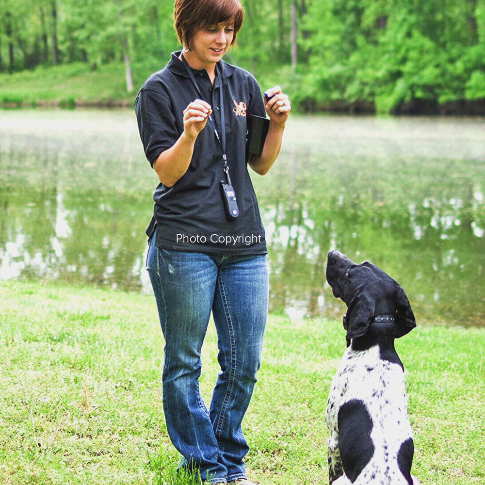 DT Systems Micro-iDT PLUS Expandable Dog Remote Trainer