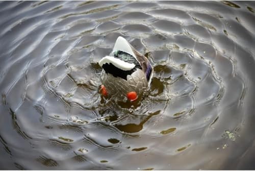 Mojo Outdoors Mojo Butt Up Rippler, Mallard