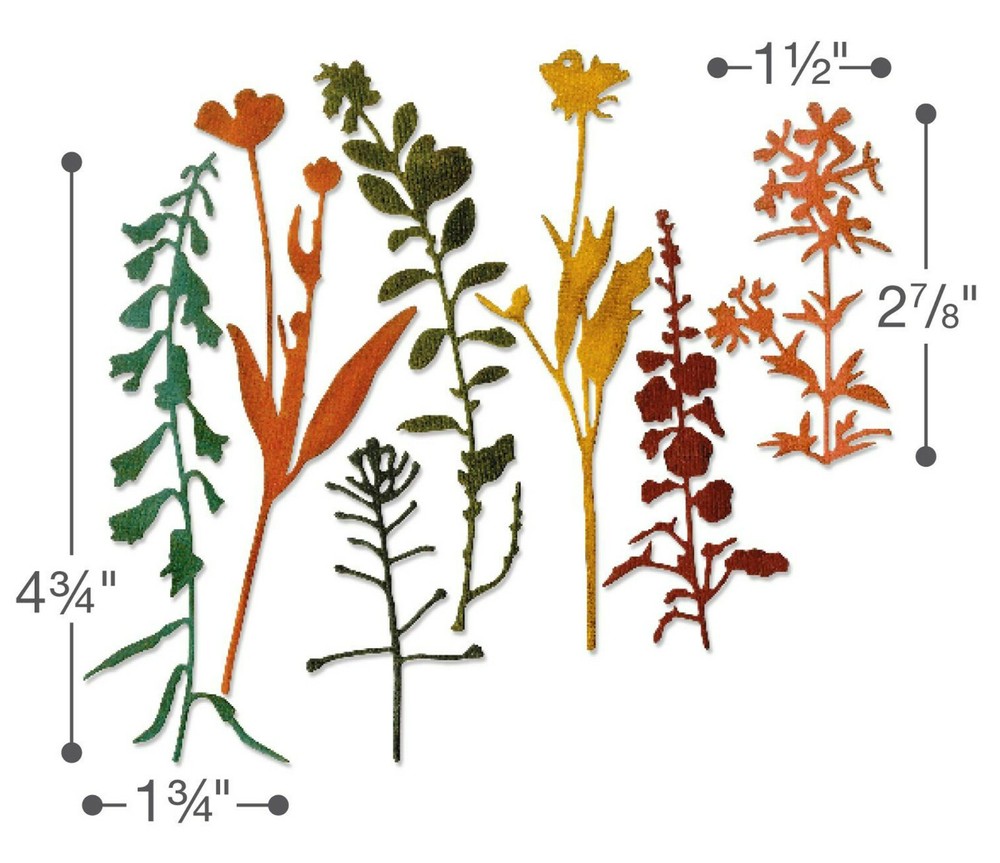 New, Retired Sizzix Thinlits Wildflowers #2 #661808 7pc Retail $22.99 Tim Holtz