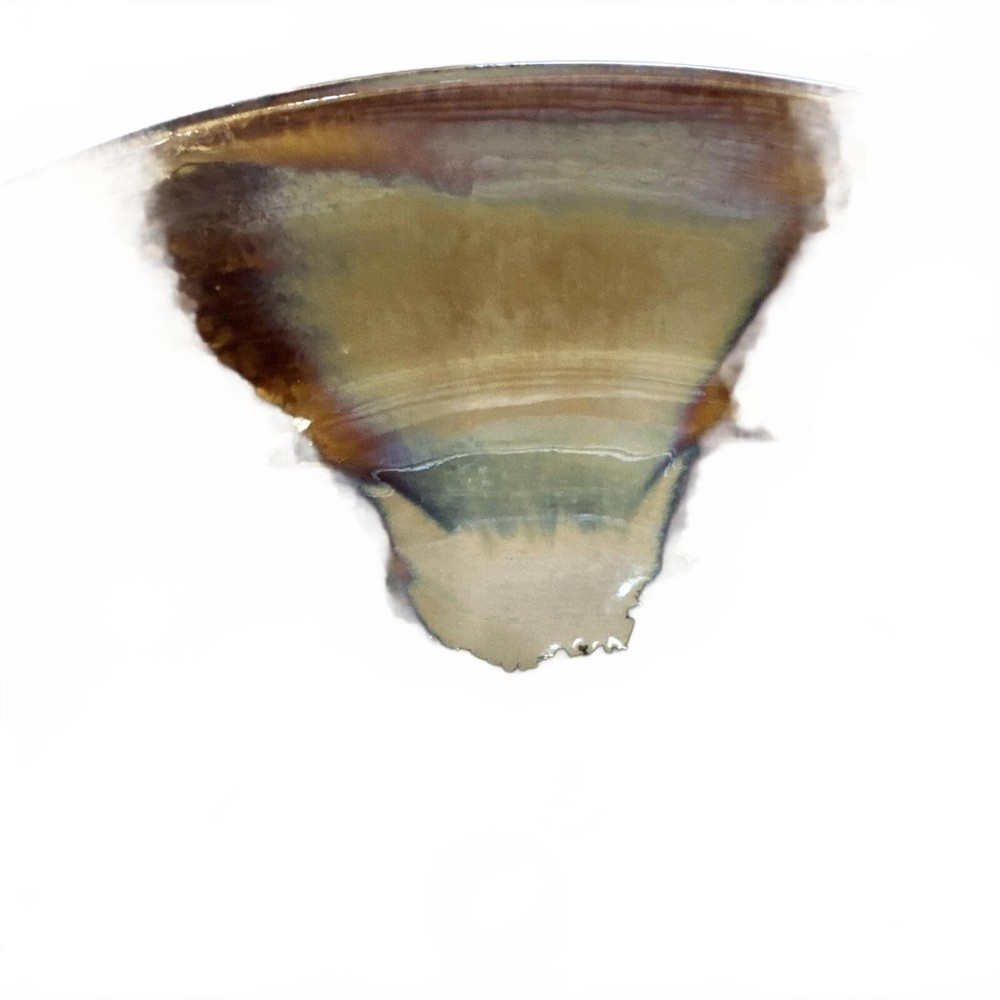 Sango Splash 4951 Bowl 8.5” Drip Glaze