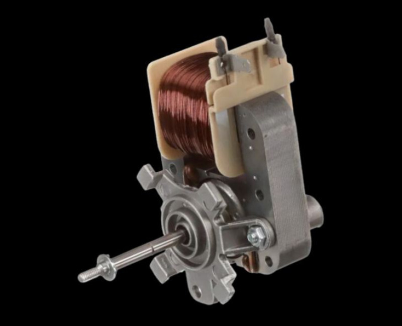 DG31-00014F - Motor AC Convection