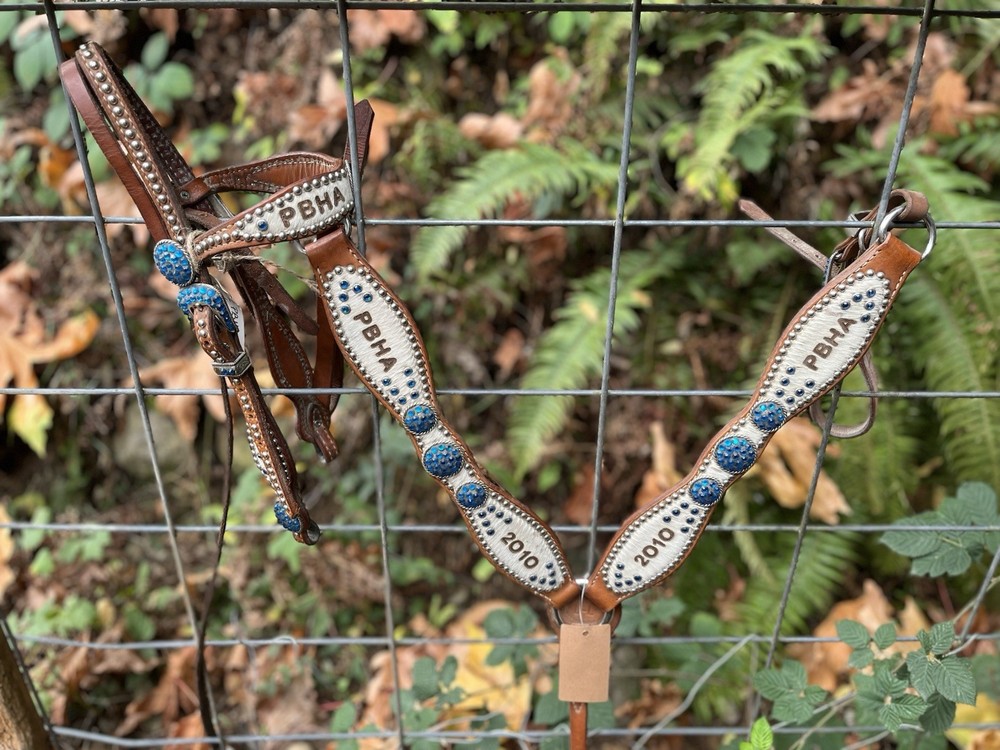 Luan's Leathers Bling Western Set