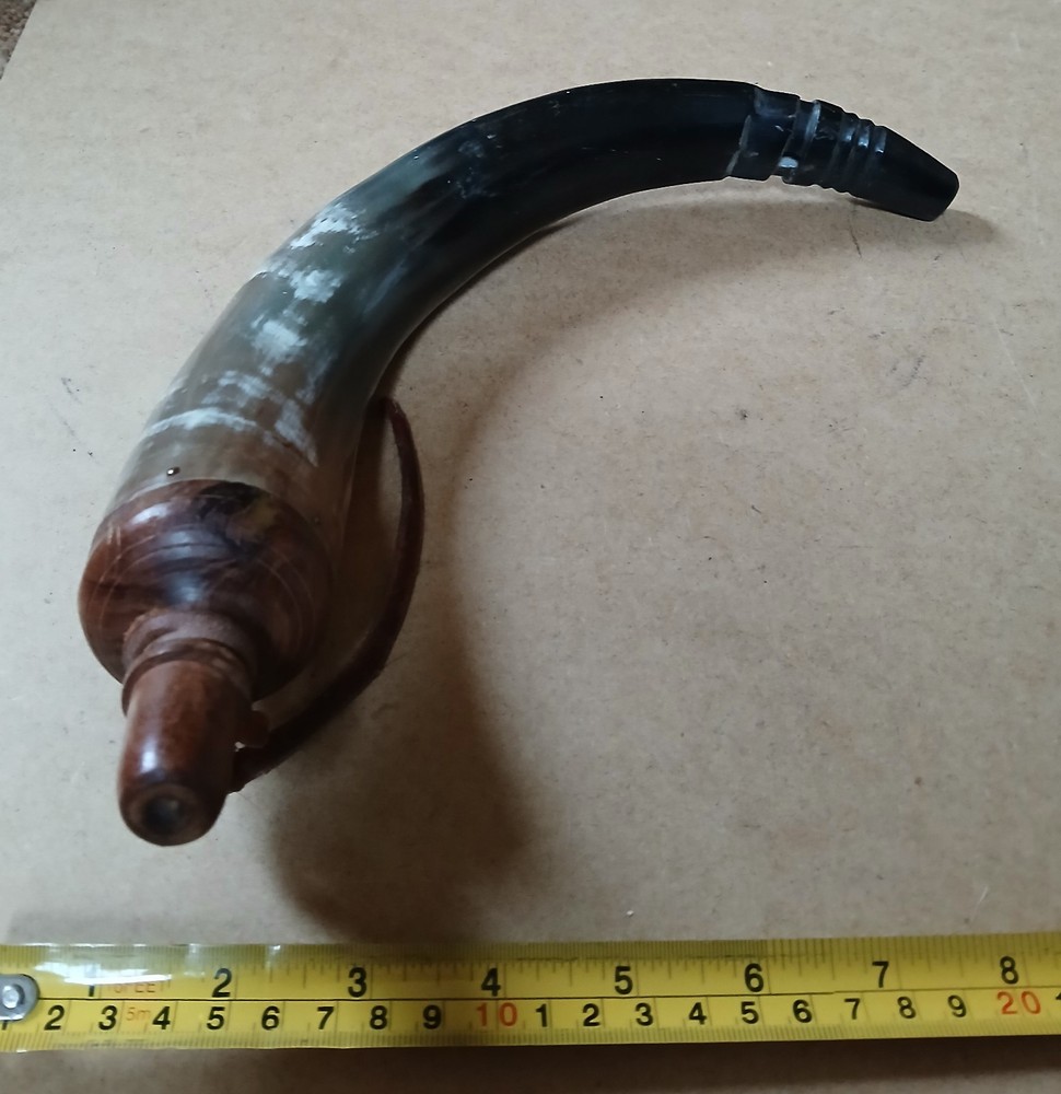 Powder Horn, 17" Long - Used