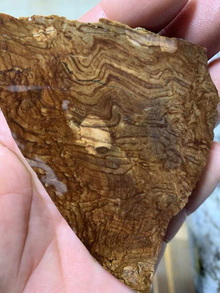 biggs jasper rough slab