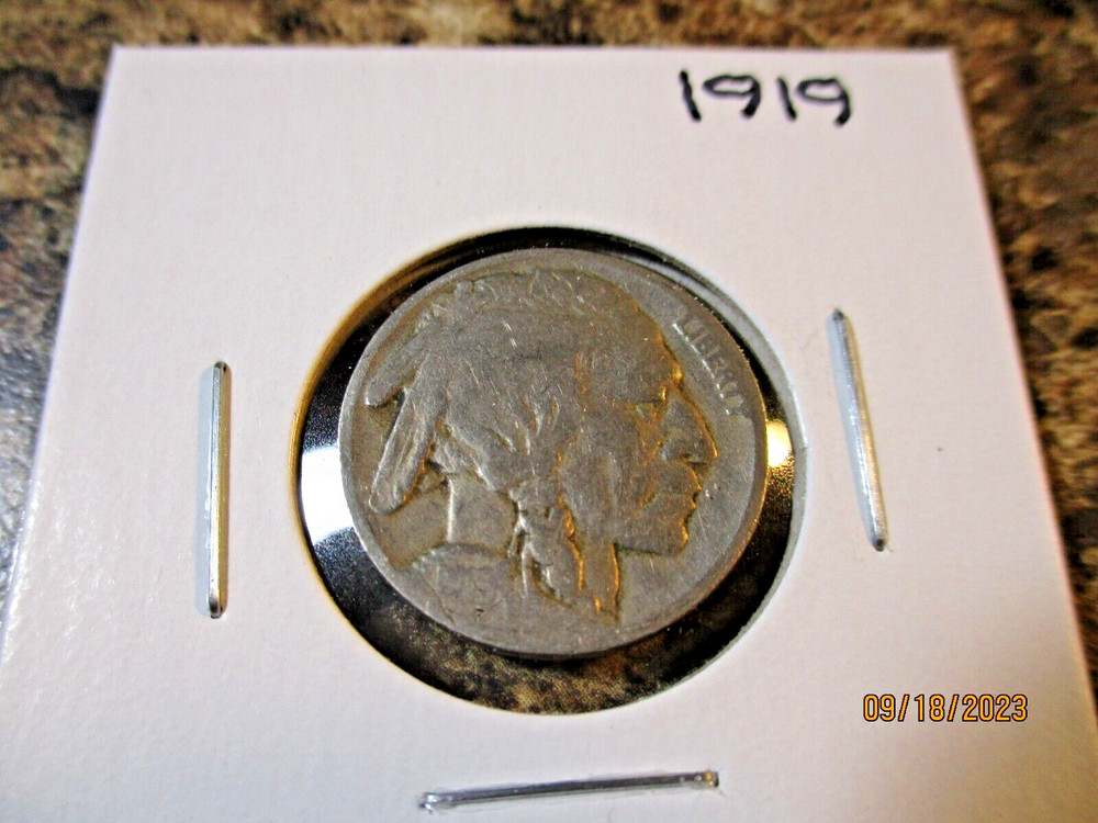 1919 BUFFALO NICKEL    60