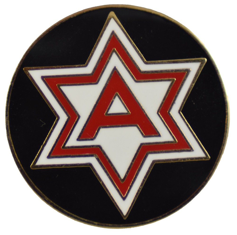 6TH ARMY HAT PIN