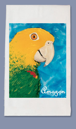 Amazon Dish Towel