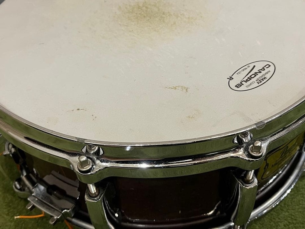 Pearl Masters Studio Birch Shell Snare Drum with Cast Hoops and Used Condition