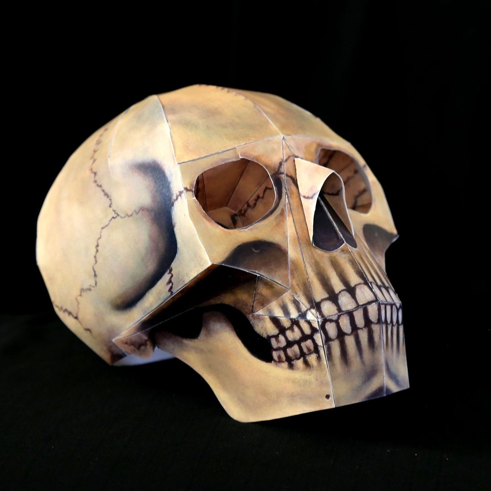 Human Skull paper model