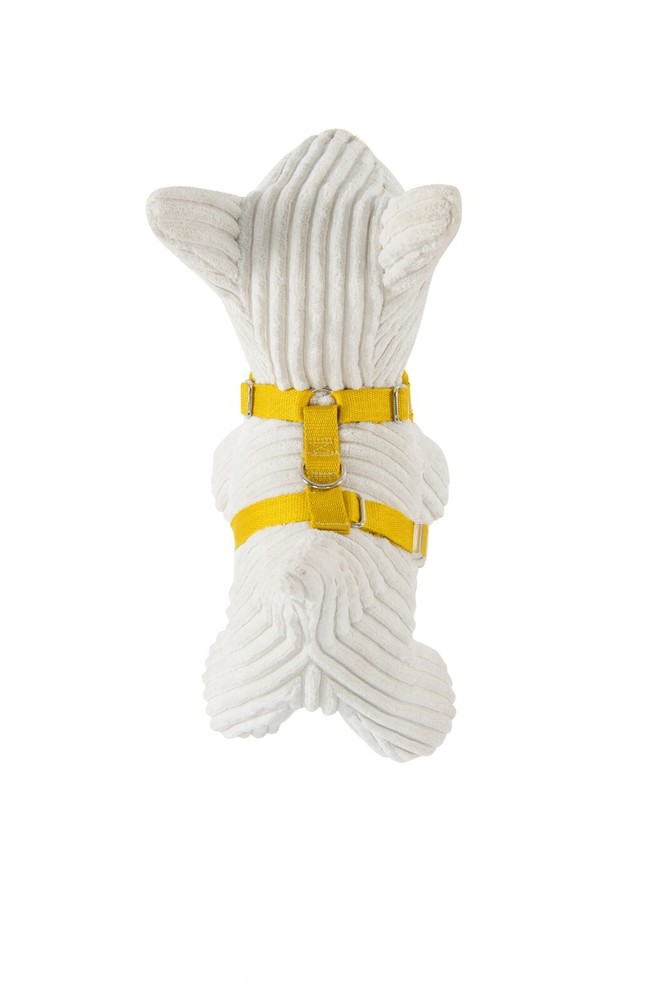 Winston Manner Designer Dog Harness in Go Troppo