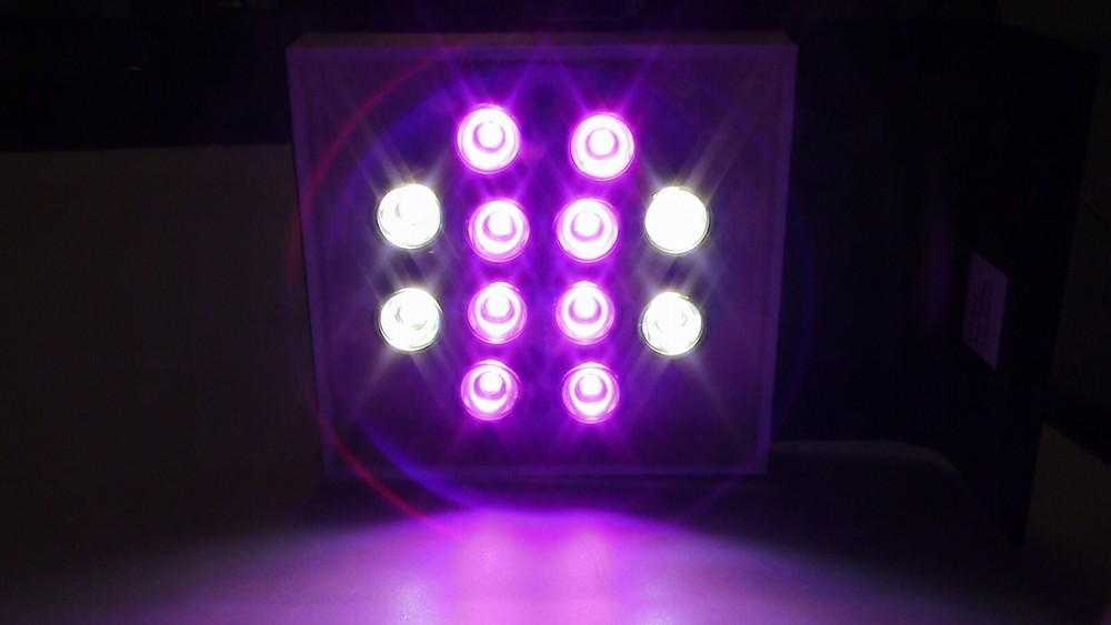 Refugium light CHAETO 12 Refug LED Light