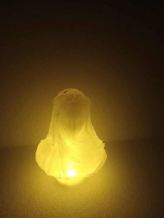 VAILED WOMAN With Light