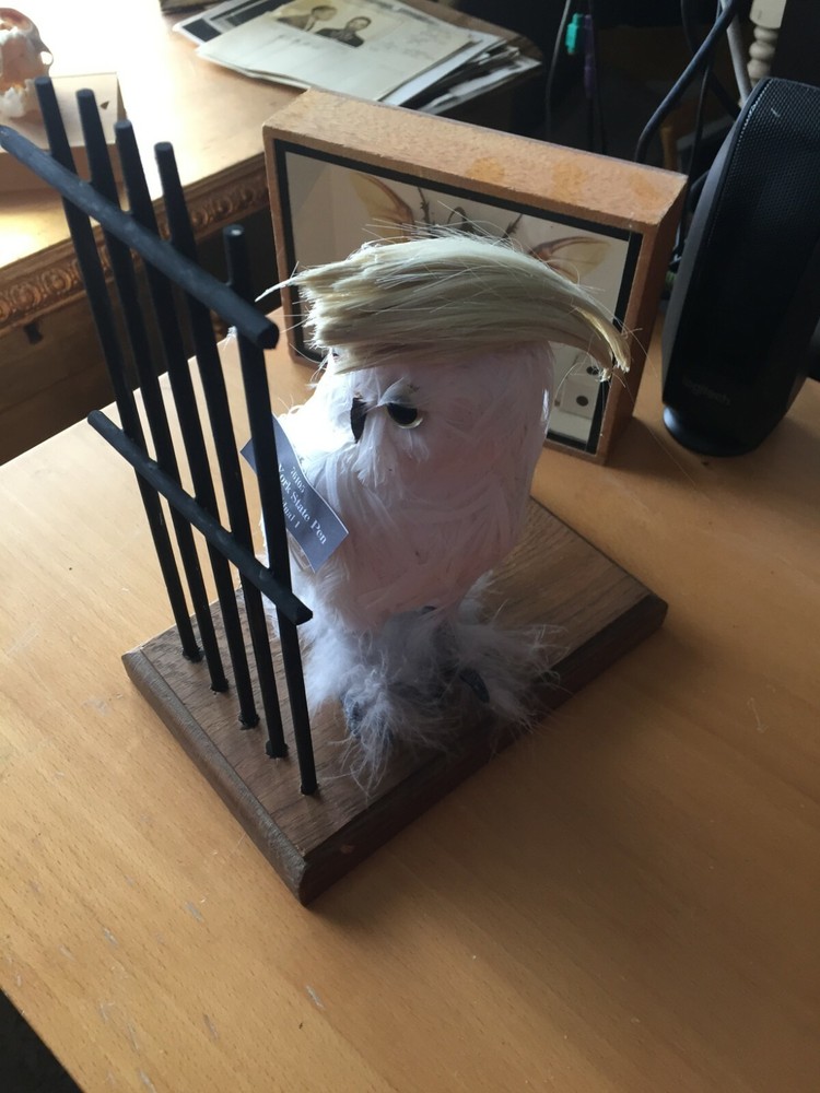 CRIME PUNISHMENT AND ODDITY: Individual 1 Prison Cell Display