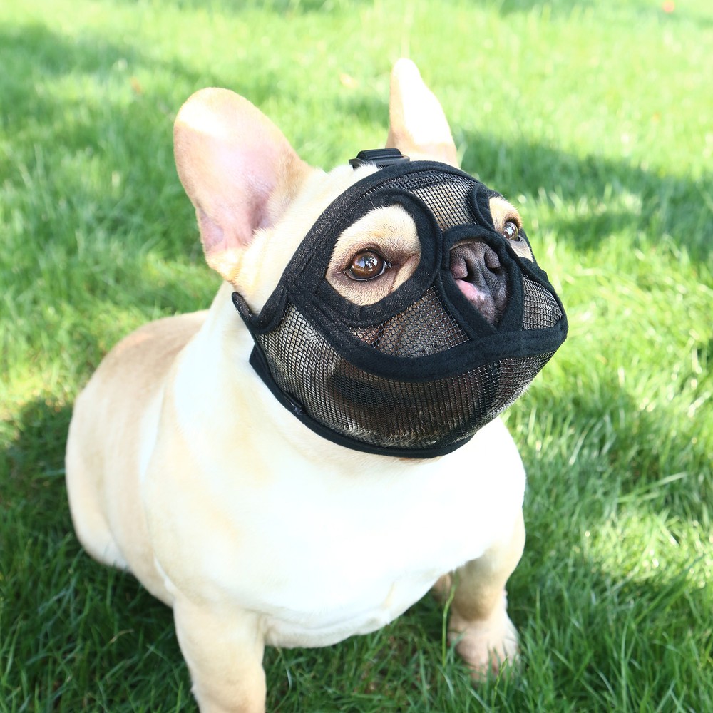 Short Snout Dog Muzzle Bulldog Muzzle Adjustable Breathable Mesh for J0M3