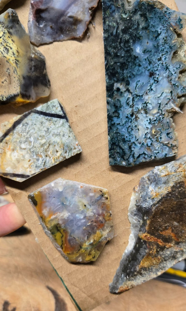 Assorted Agates, THICK Trimmed Cabochon Slabs Preforms 7 Pcs, Flat 121