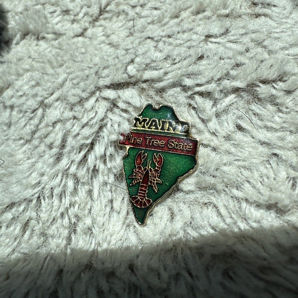 Maine Souvenir Lapel Hat Jacket Pin The Pine Tree State